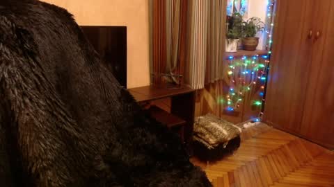Snapshot of norma_gin chatting on 28, 12, 2024 miss Tress online show from 28, 12, 2024