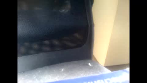 Snapshot of nostradamuslu chatting on 10, 11, 2025 nostradamuslu online show from 10, 11, 2025