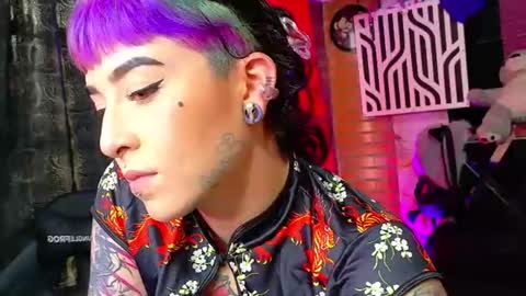 Nova kitty tx online show from 9, 4, 2026