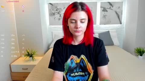 Nova online show from 7, 12, 2024