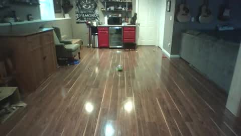 Nudistguy online show from 15, 3, 2026