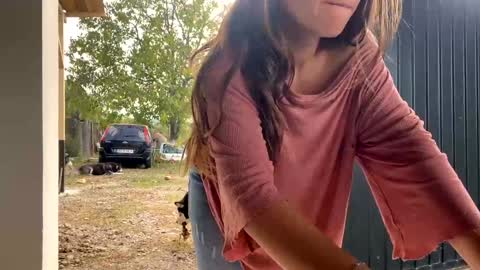 Nicol online show from 30, 9, 2025