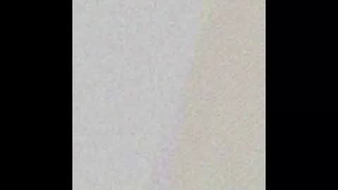 nycsupplier online show from 21, 2, 2026