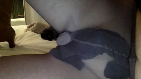 nylon2412 online show from 10, 1, 2026