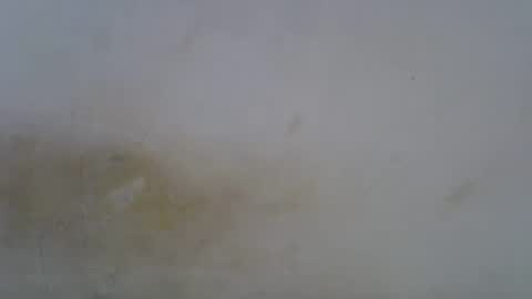 Snapshot of oceanwavves chatting on 1, 5, 2026 Paloma online show from 1, 5, 2026