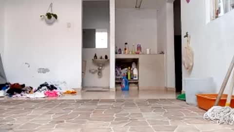 Val online show from 22, 10, 2025