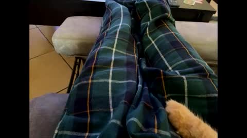 oggs48 online show from 28, 10, 2025