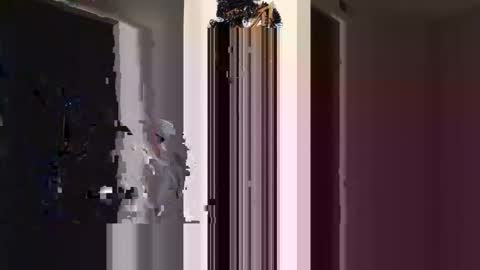 ogtripmushem online show from 27, 10, 2025