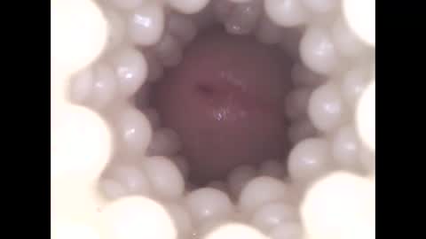 ohioguy4201985 online show from 8, 4, 2026