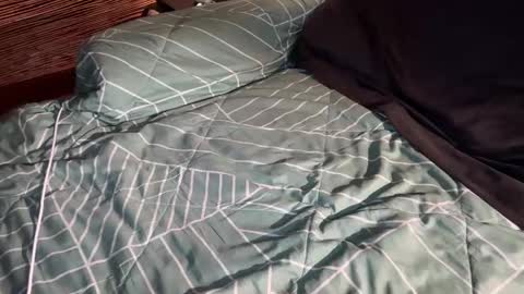 ohyea online show from 6, 3, 2026