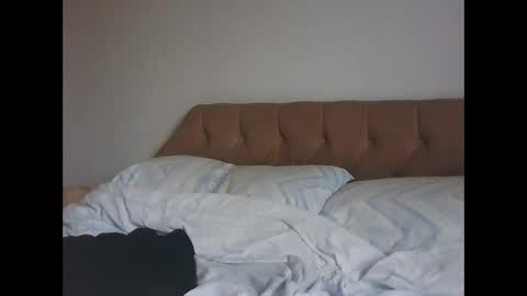 old_fkrr_ online show from 14, 11, 2025