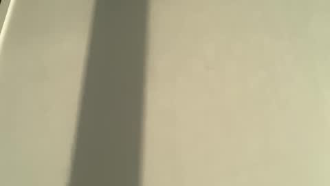 Olivia Brookes online show from 8, 1, 2026