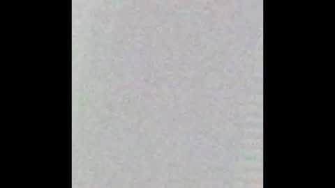 Kelly online show from 5, 12, 2024