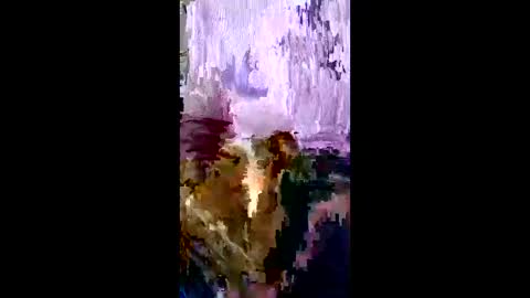 olveralopez777 online show from 19, 3, 2026