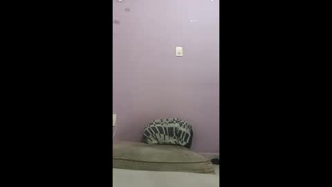 Snapshot of oneninjaone chatting on 4, 2, 2026 oneninjaone online show from 4, 2, 2026