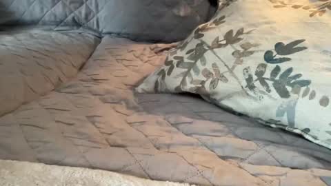 onthedlhere online show from 9, 1, 2025