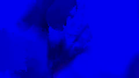 Snapshot of onurkneespls chatting on 28, 9, 2025 onurkneespls online show from 28, 9, 2025