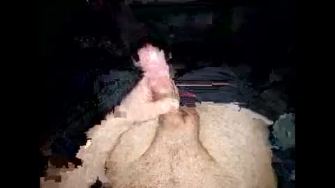 opelator online show from 27, 1, 2025