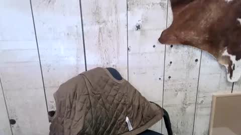 kinkynerd online show from 18, 10, 2025