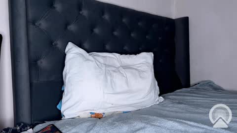 origamicat online show from 26, 1, 2025