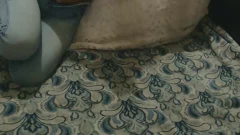 originalcali95 online show from 3, 2, 2026