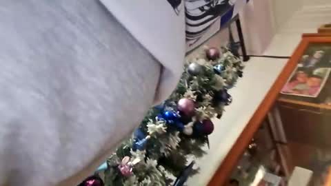 orlandovilla48 online show from 5, 12, 2025