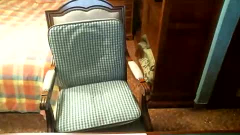 Snapshot of oscarw chatting on 28, 4, 2026 Oscar online show from 28, 4, 2026