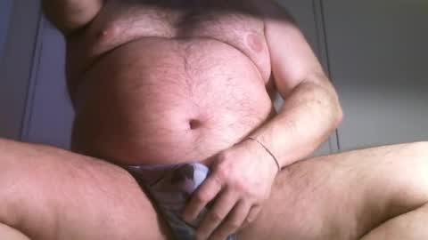 Oso Licencioso online show from 26, 5, 2026