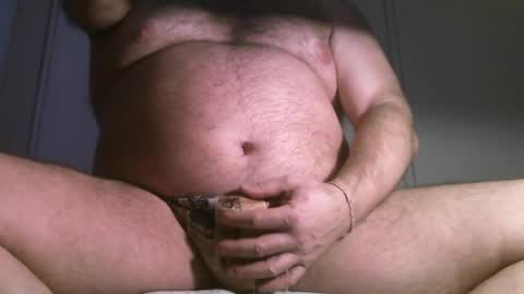 Oso Licencioso online show from 8, 6, 2026
