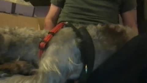 rossignol online show from 16, 1, 2025