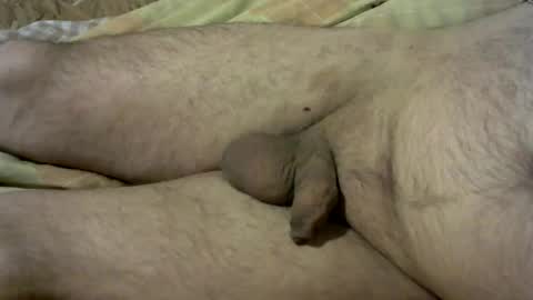 ovid77 online show from 16, 11, 2025