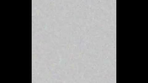 Alice online show from 12, 12, 2024