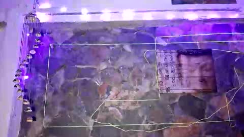 Snapshot of pablouyu chatting on 1, 1, 2025 pablouyu online show from 1, 1, 2025