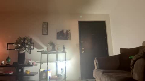 PrincessTsVivian online show from 17, 12, 2024