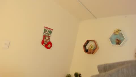 Paloma  online show from 19, 12, 2025