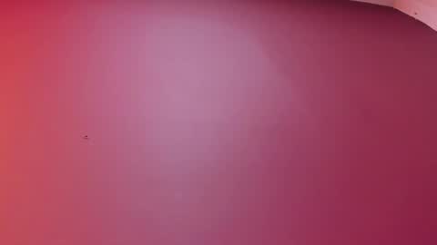  P A M  online show from 17, 2, 2026