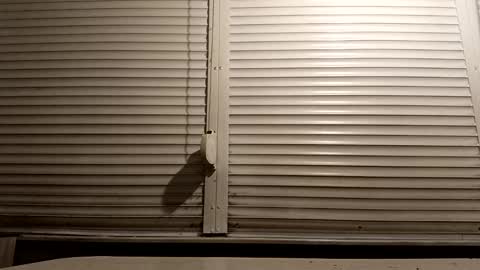 angel hris online show from 13, 1, 2026