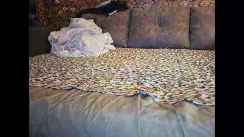 Pancamo online show from 18, 1, 2026