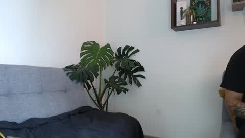 pantyhose_xxx_ online show from 22, 12, 2024