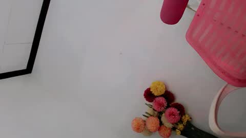 Snapshot of papigoddesslover chatting on 25, 2, 2025 Fina Dwarf online show from 25, 2, 2025
