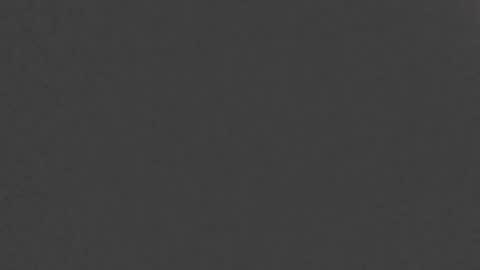 papilos25 online show from 22, 1, 2025