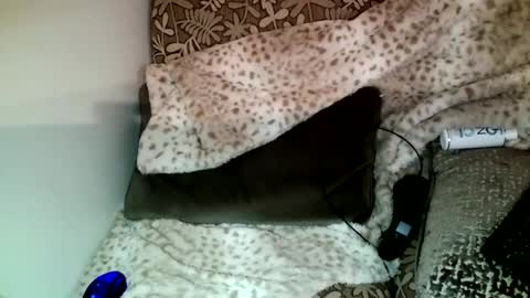 Parlay tellio online show from 23, 12, 2024