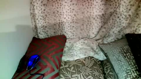 Parlay tellio online show from 28, 12, 2024