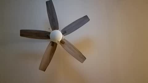 patrick247288 online show from 7, 11, 2025