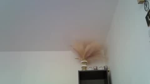 patrick5275 online show from 16, 12, 2024