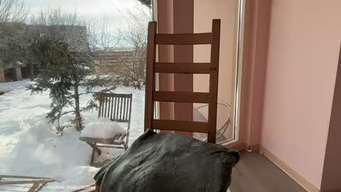 Andreea online show from 20, 2, 2026