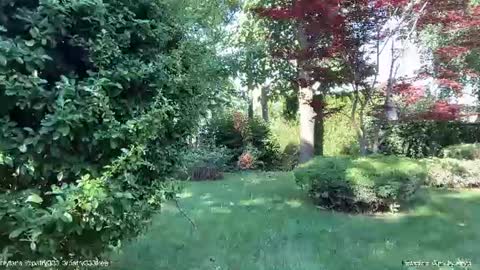 Andreea online show from 20, 6, 2026