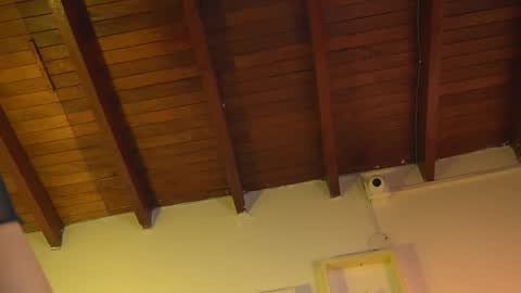 patty online show from 15, 9, 2025