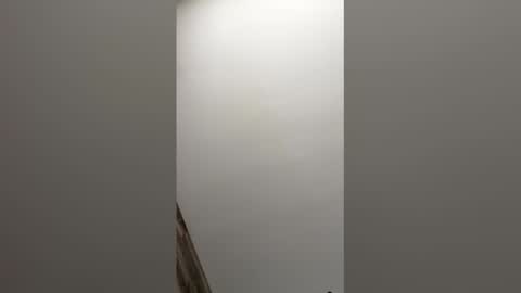 paul856963 online show from 9, 3, 2026