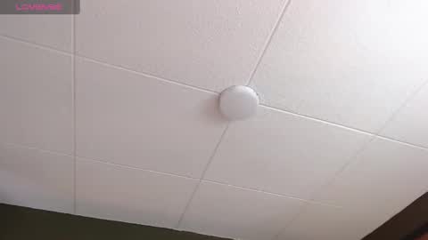 Paul online show from 10, 11, 2025